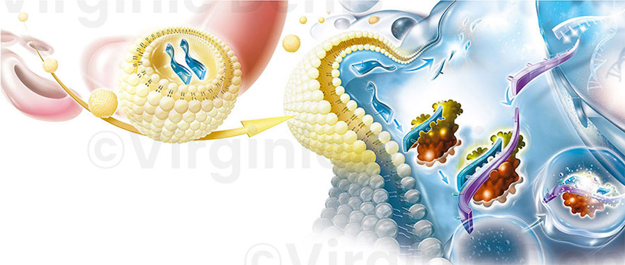 Illustration médicale Thérapie génique