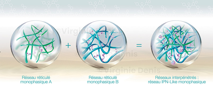 Illustration médicale acide hyaluronique